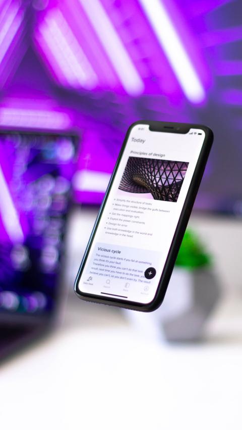 تغطية الضمان